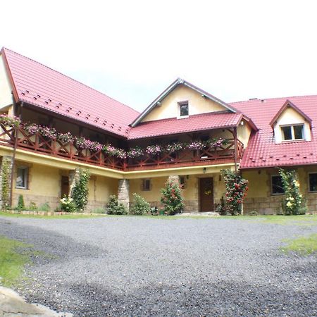 Dom Na Klonowym Wzgorzu Bed & Breakfast Stronie Slaskie Exterior photo