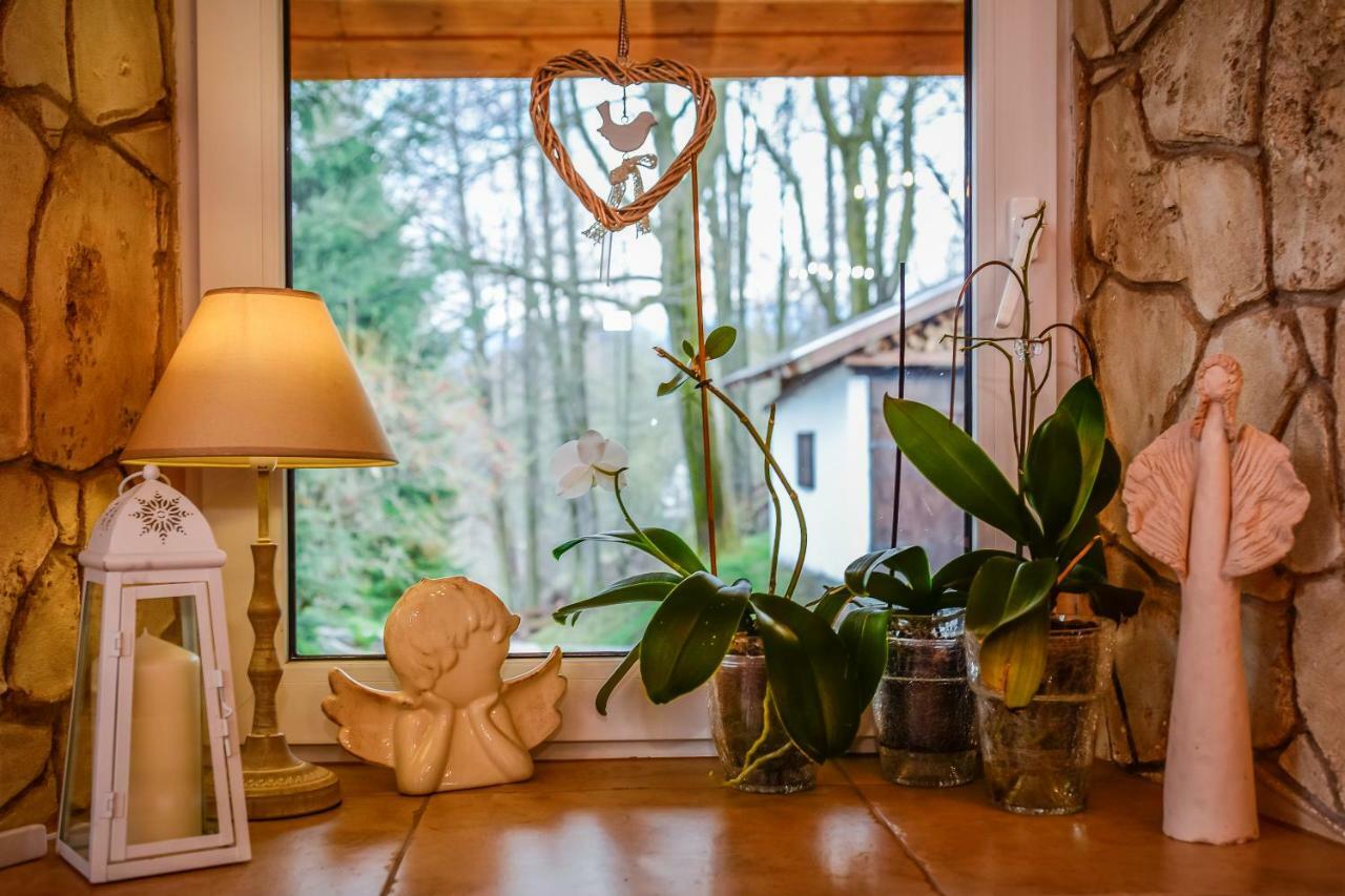Dom Na Klonowym Wzgorzu Bed & Breakfast Stronie Slaskie Exterior photo